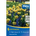 Nárcis és Gyöngyike színkeverék