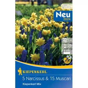 Nárcis és Gyöngyike színkeverék