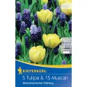 Tulipán és Gyöngyike Scandinavian Spring színkeverék