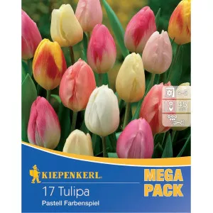 Mega Pack Pastell színkeverék
