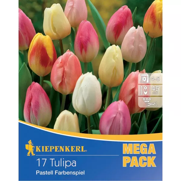 Mega Pack Pastell színkeverék