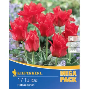 Mega Pack Tulipán Little Red Riding Hood