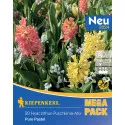 Mega Pack Jácint Pure Pastel színkeverék
