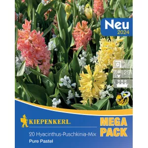 Mega Pack Jácint Pure Pastel színkeverék