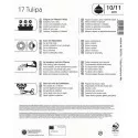 Mega Pack Tulipán Fosteriana színkeverék