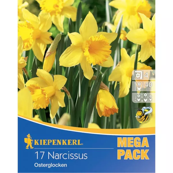 Mega Pack Nárcisz Osterglocken