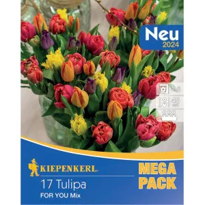 Mega Pack For You színkeverék