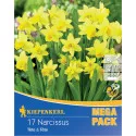 Mega Pack Nárcisz Tete a Tete