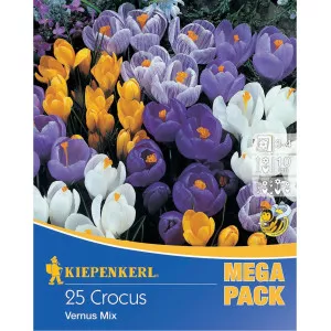 Mega Pack Sáfrány színkeverék