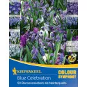 Virághagyma Blue Celebration