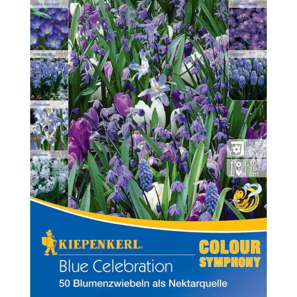 Virághagyma Blue Celebration