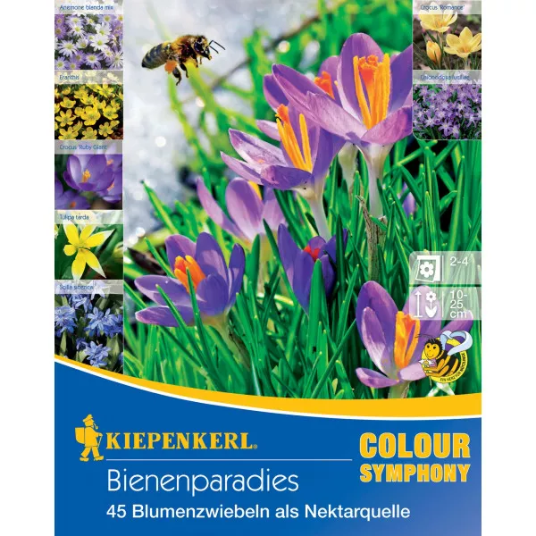 Virághagyma Bee Paradise