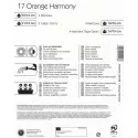 Virághagyma Orange Harmony