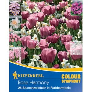Virághagyma Rose Harmony