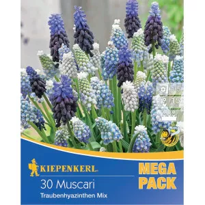 Mega Pack Gyöngyike színkeverék