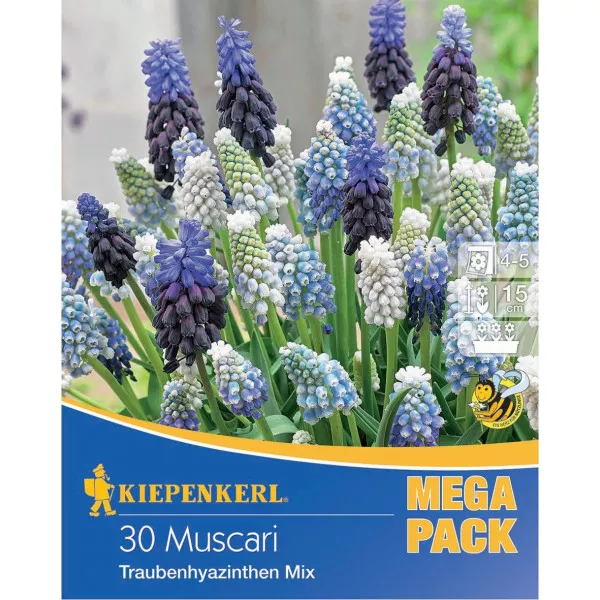 Mega Pack Gyöngyike színkeverék