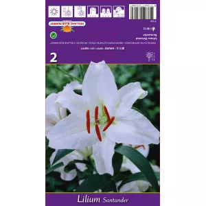 Keleti Liliom Santander