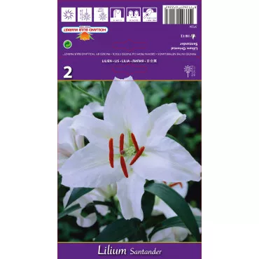 Keleti Liliom Santander