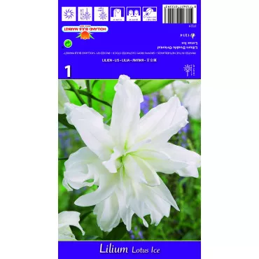 Dupla Keleti Liliom Lotus Ice