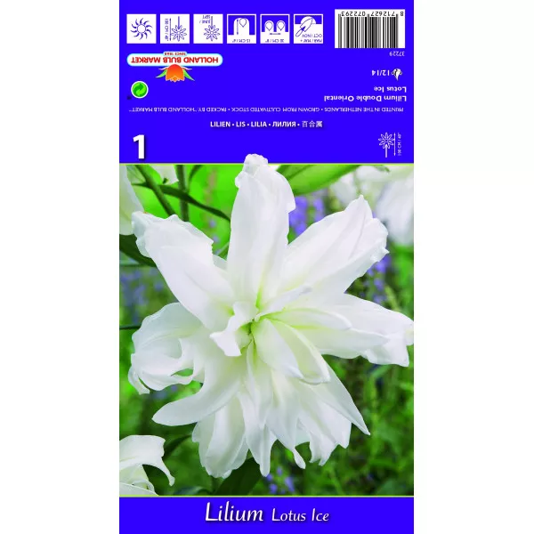 Dupla Keleti Liliom Lotus Ice