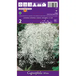 Fátyolvirág (Gypsophila), fehér