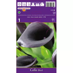 Kála, fekete