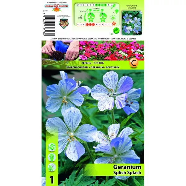 Angol Muskátli (Geranium) Splish Splash Angol Muskátli (Geranium) Splish Splash