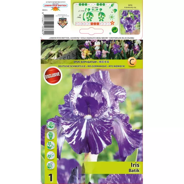 Kerti Nőszirom (Iris germanica) Batik