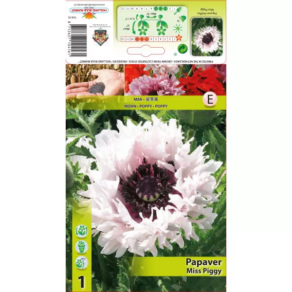Kerti Mák (Papaver) Miss Piggy Ruffles