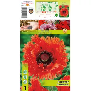 Kerti Mák (Papaver) Ruffles Turkenlouis