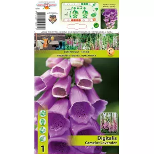 Gyűszűvirág (Digitalis) Camelot Lavender