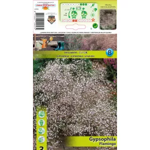 Fátyolvirág (Gypsophila) Flamingo