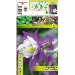 Harangláb (Aquilegia) Swan Lavender