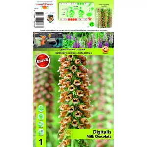 Gyűszűvirág (Digitalis) Milk Chocolate