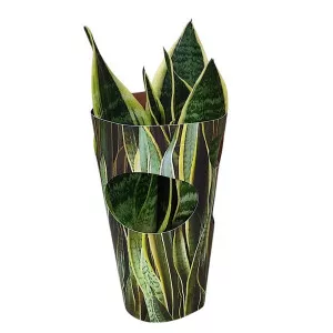 Anyósnyelv (Sansevieria trifasciata) ø 10,5 cm-es cserépben