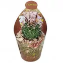 Kaktusz (Echinofossulocactus multicostatus) ø 6,5 cm-es cserépben