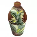 Gasteria (Gasteria verrucosa variegata) ø 6,5 cm-es cserépben