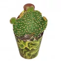 Kaktusz (Opuntia microdasys undulata) ø 6,5 cm-es cserépben