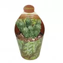 Peperomia (Peperomia columella) ø 6,5 cm-es cserépben
