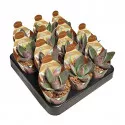 Pozsgafa Garnet Lotus (Crassula) ø 6,5 cm-es cserépben