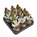 Pozsgafa Deceptor (Crassula) ø 6,5 cm-es cserépben