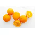 Keserű narancs (Citrus x aurantium)