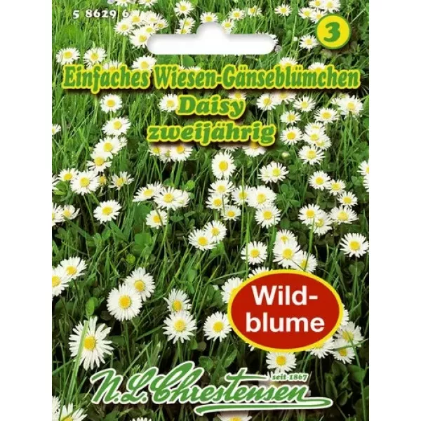 Daisy Margaréta Daisy Margaréta