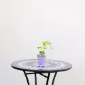 Iszalag (Clematis) Multi blue