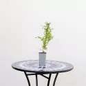 Japán Borbolya Helmond Pillar