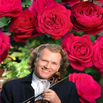 André Rieu ® Teahibrid rózsa cserépben 3L