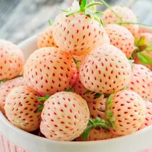 Eper Ananas