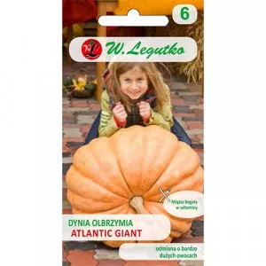 Tök gigant Atlantic Giant