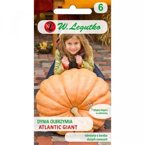Tök gigant Atlantic Giant