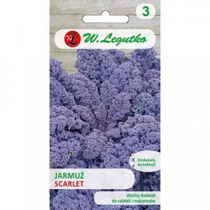 Kelkáposzta Kale Scarlet